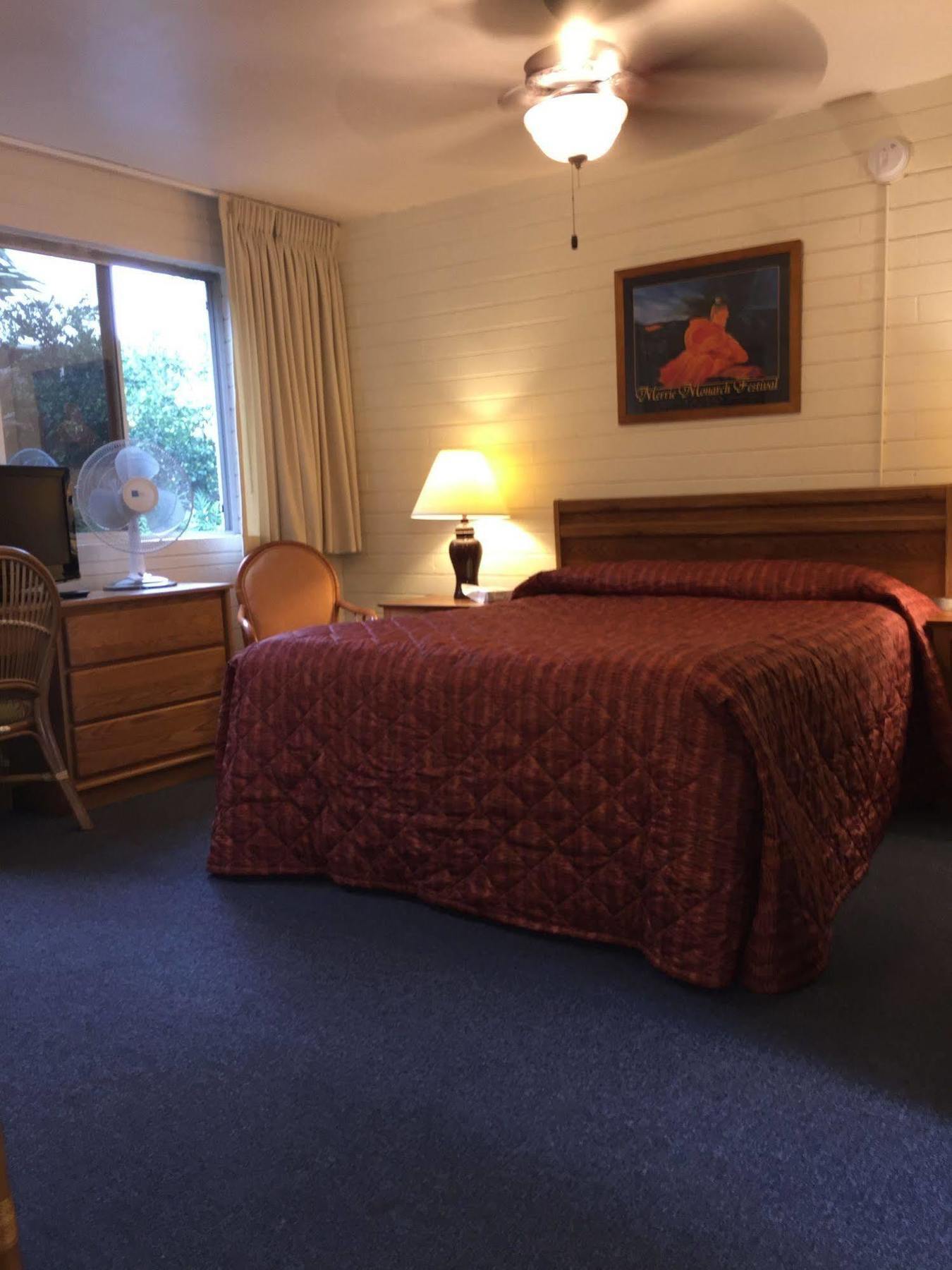 הילו Dolphin Bay Hotel מראה חיצוני תמונה